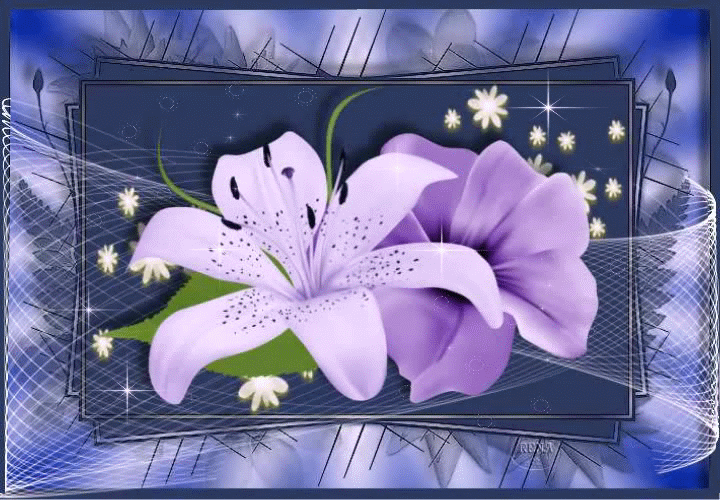 Niebieska kartka z dwoma liliami